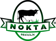 nokta